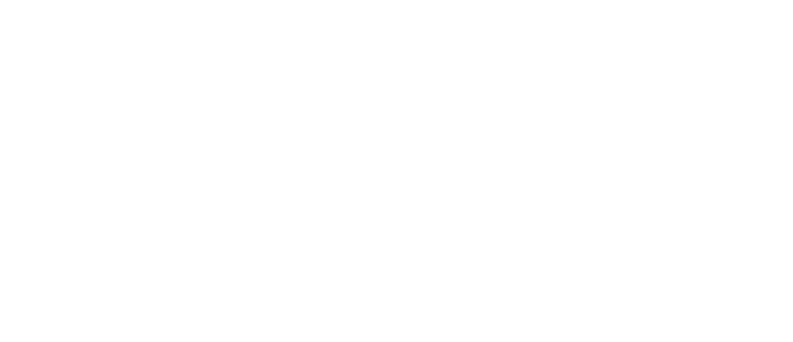 Dinis 2b logo
